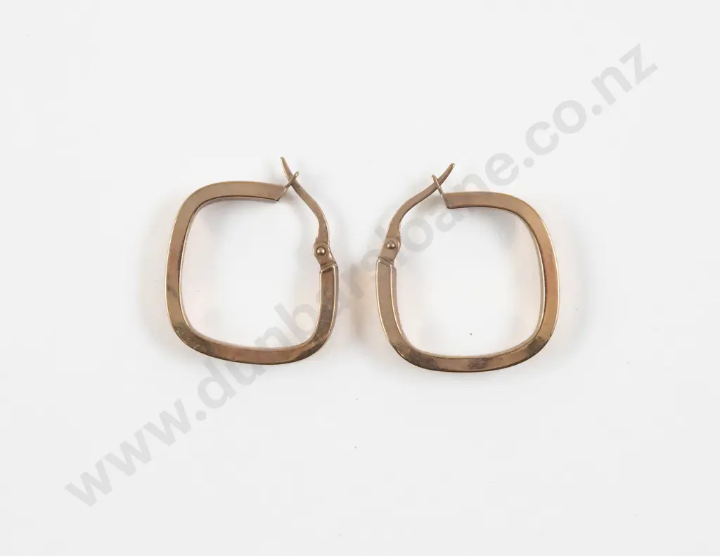 Pair 9ct Fancy Hoop Earrings Image 1++