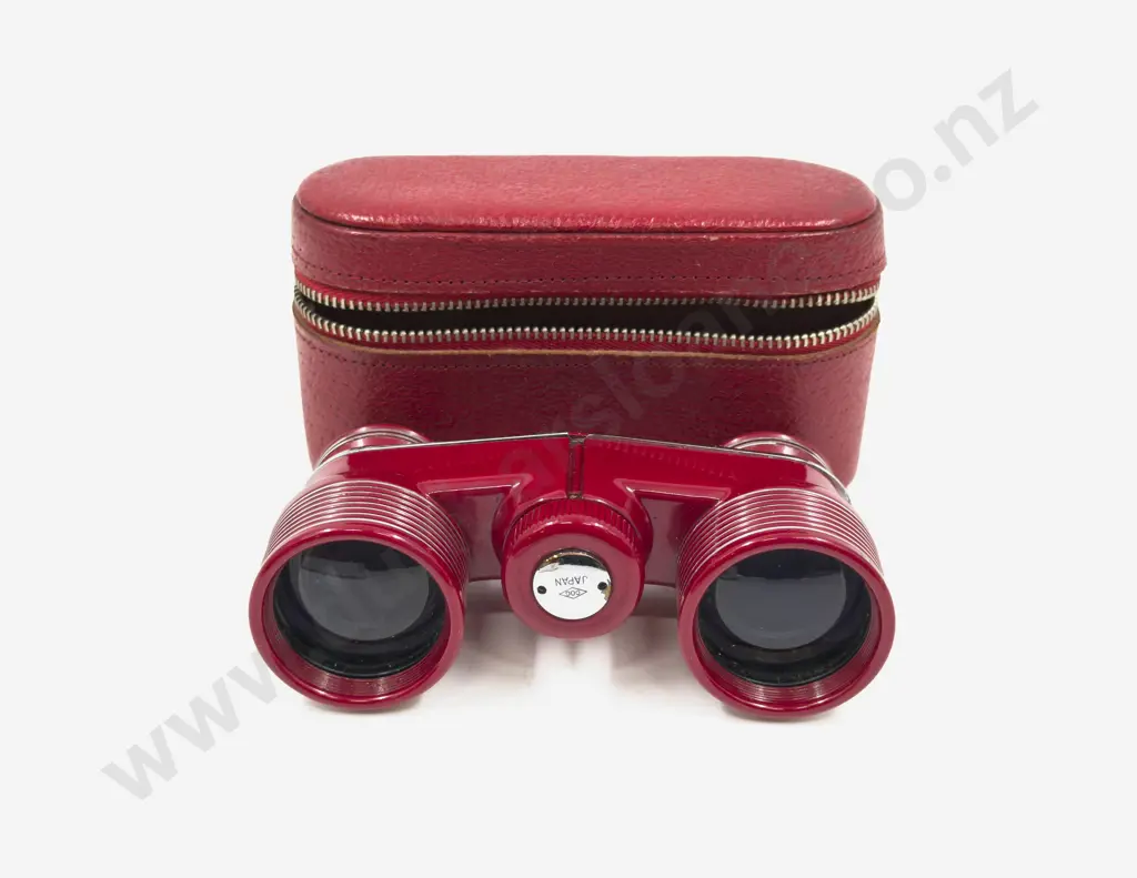 Cased Pair of Small Binoculars Image 1++