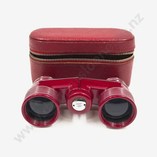 Cased Pair of Small Binoculars