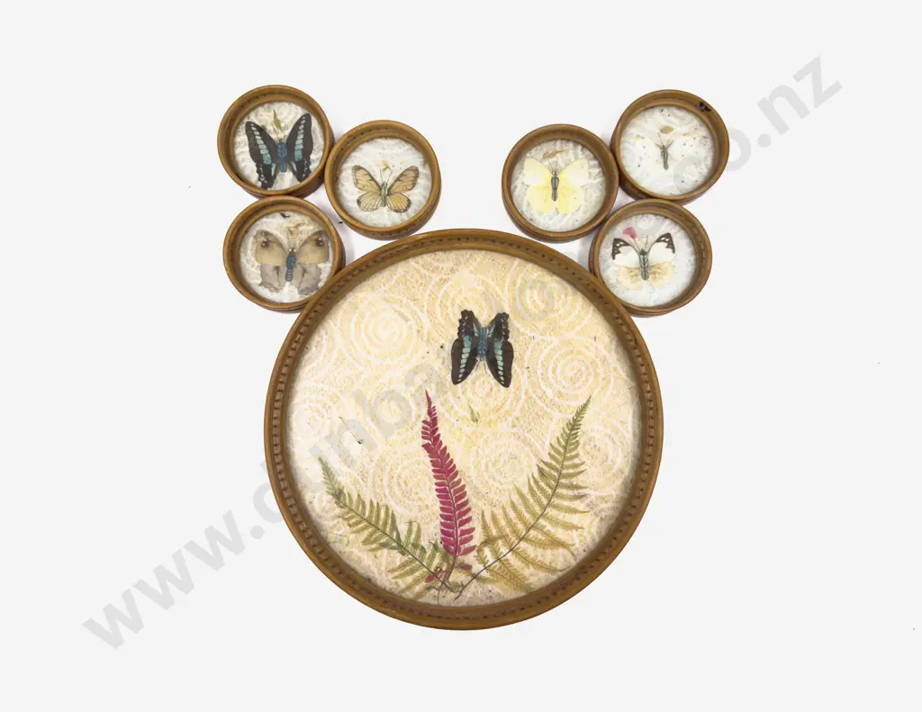 Butterfly Tray together with Six Butterfly Coasters Image 1++