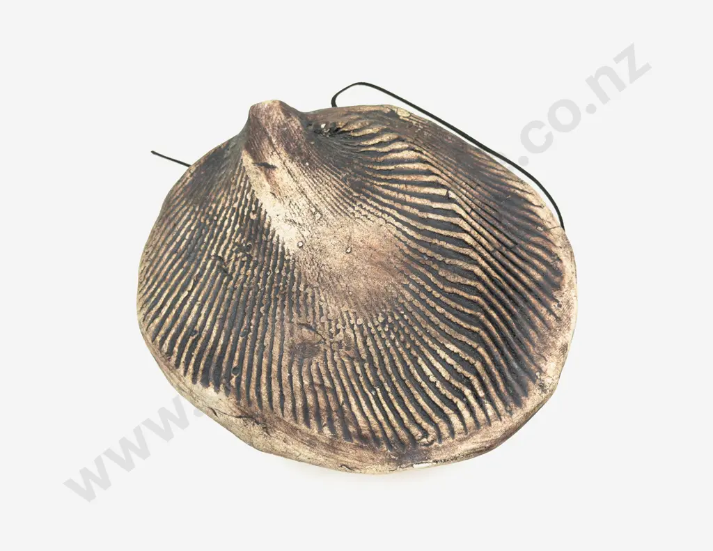 NZ Pottery Wall Vase Image 1++