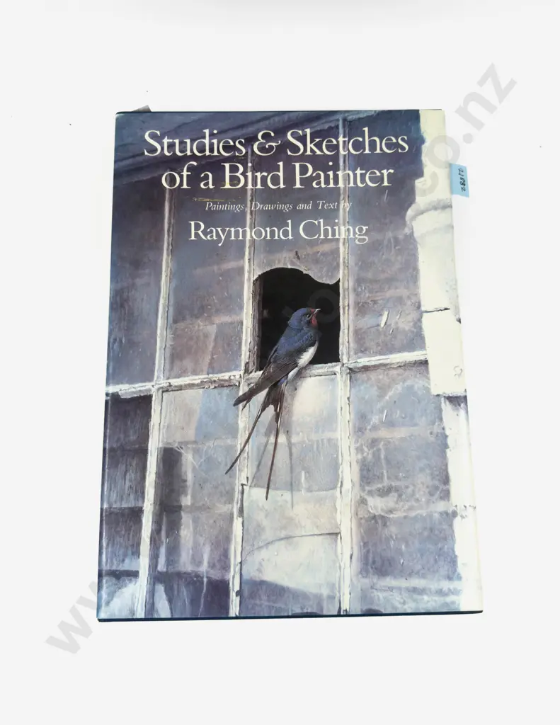Studies & Sketches of A Bird Painter - Raymond Ching Image 1++
