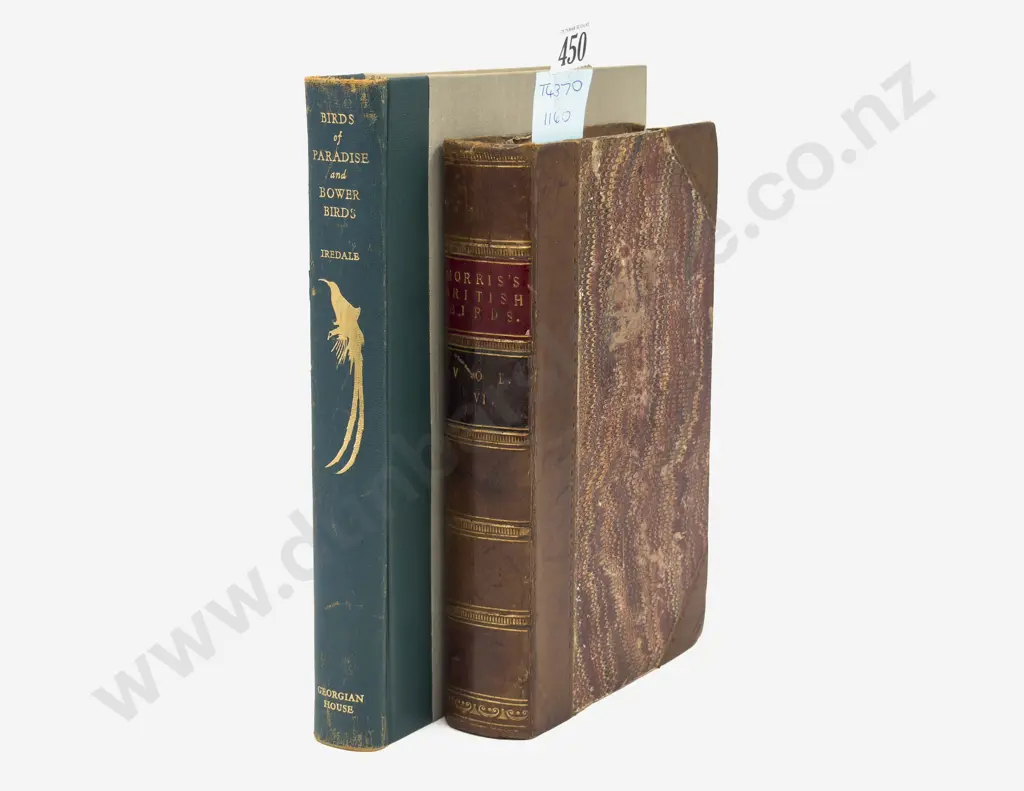 A History Of British Birds by Rev F. O. Morris, Vol VI, 1857 & Birds Of Paradise & Bower Birds 1950 Image 1++