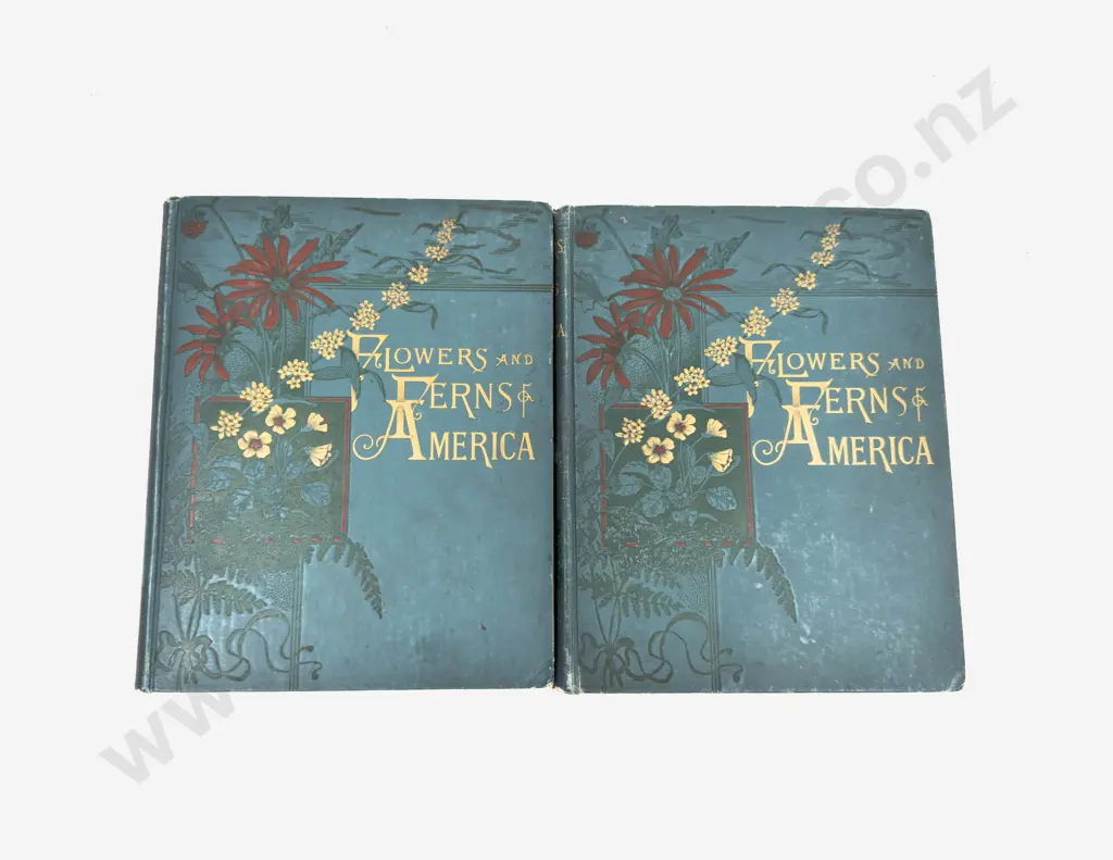 Flowers And Ferns Of America (2 Volumes, 1885) Image 1++