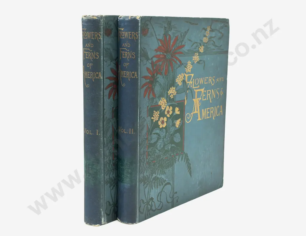 Flowers And Ferns Of America (2 Volumes, 1885) Image 1++
