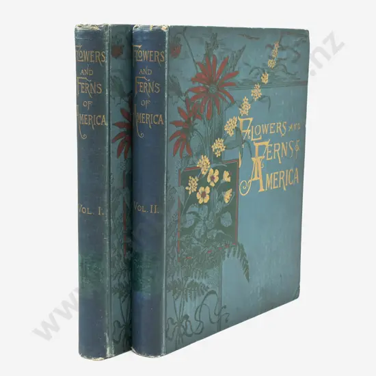 Flowers And Ferns Of America (2 Volumes, 1885)