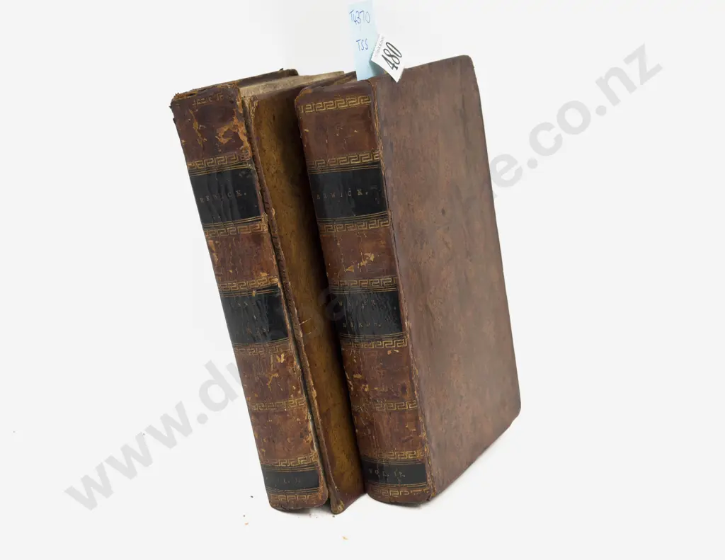 Bewick Land Birds Volume I & Water Birds Volume 2 Image 1++