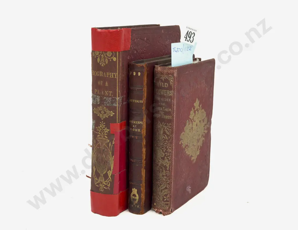 3 Antiquarian Books On Flowers, Plants & Natural History Image 1++
