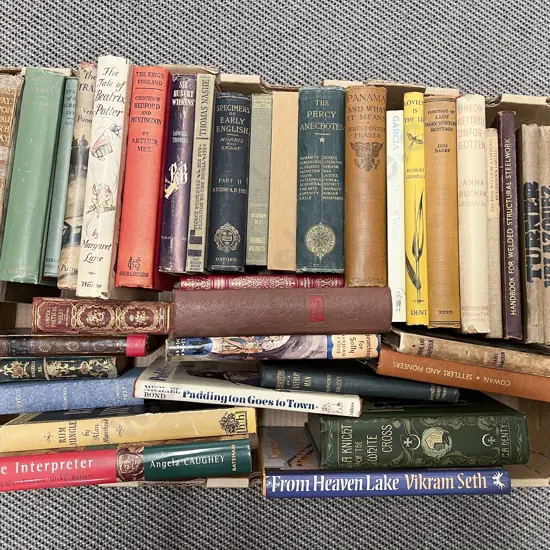 Box of Books incl Literature Art etc