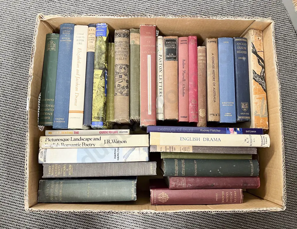 Box of Books on English Literature Image 1++