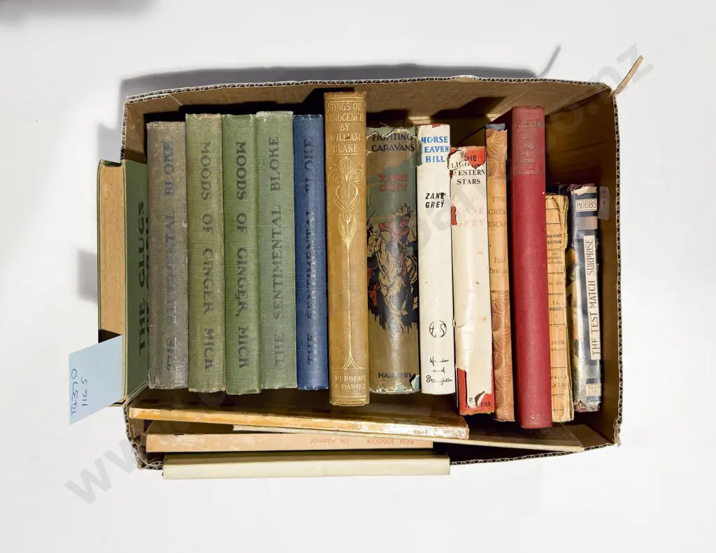 Small Carton Of Vintage Books Image 1++