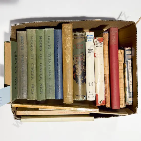 Small Carton Of Vintage Books