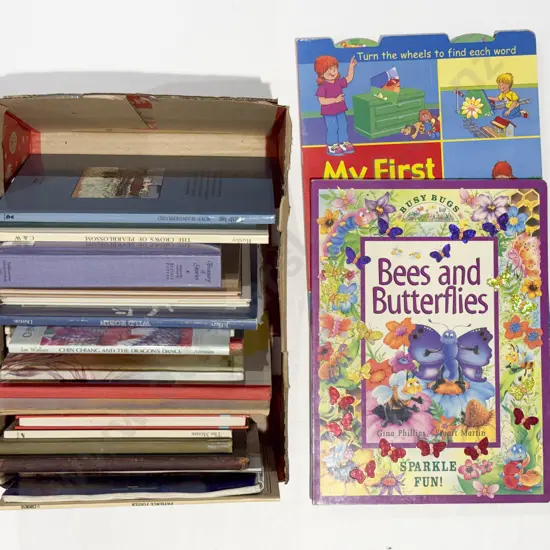 Box of Assorted Childrens Books