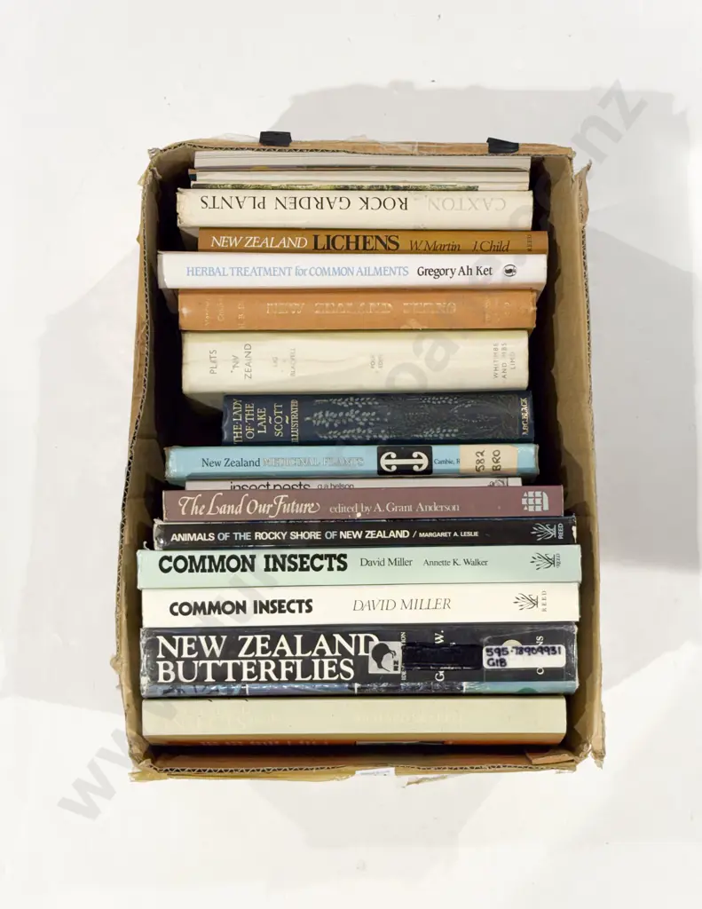 Box Qty of Assorted Insect & Natural History Reference Image 1++