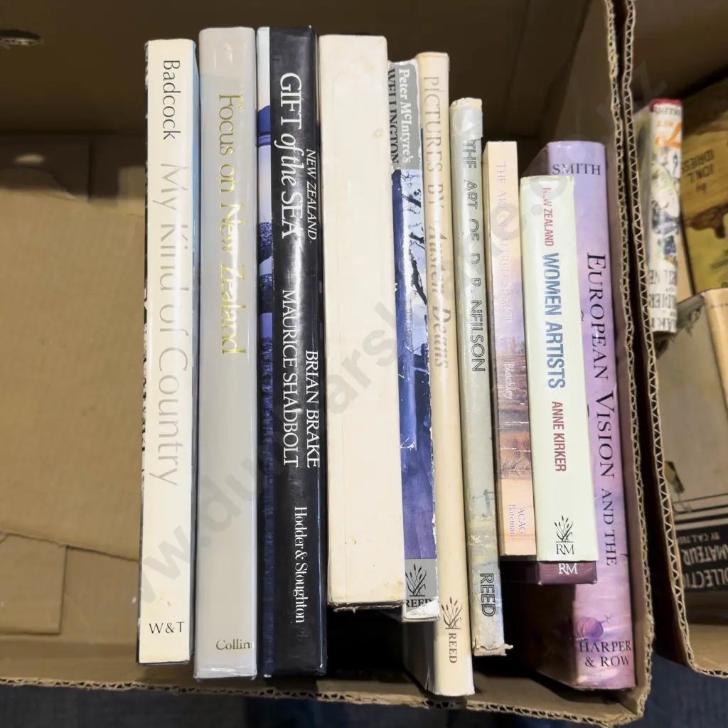 Box Qty of Assorted NZ Art Reference Image 1++