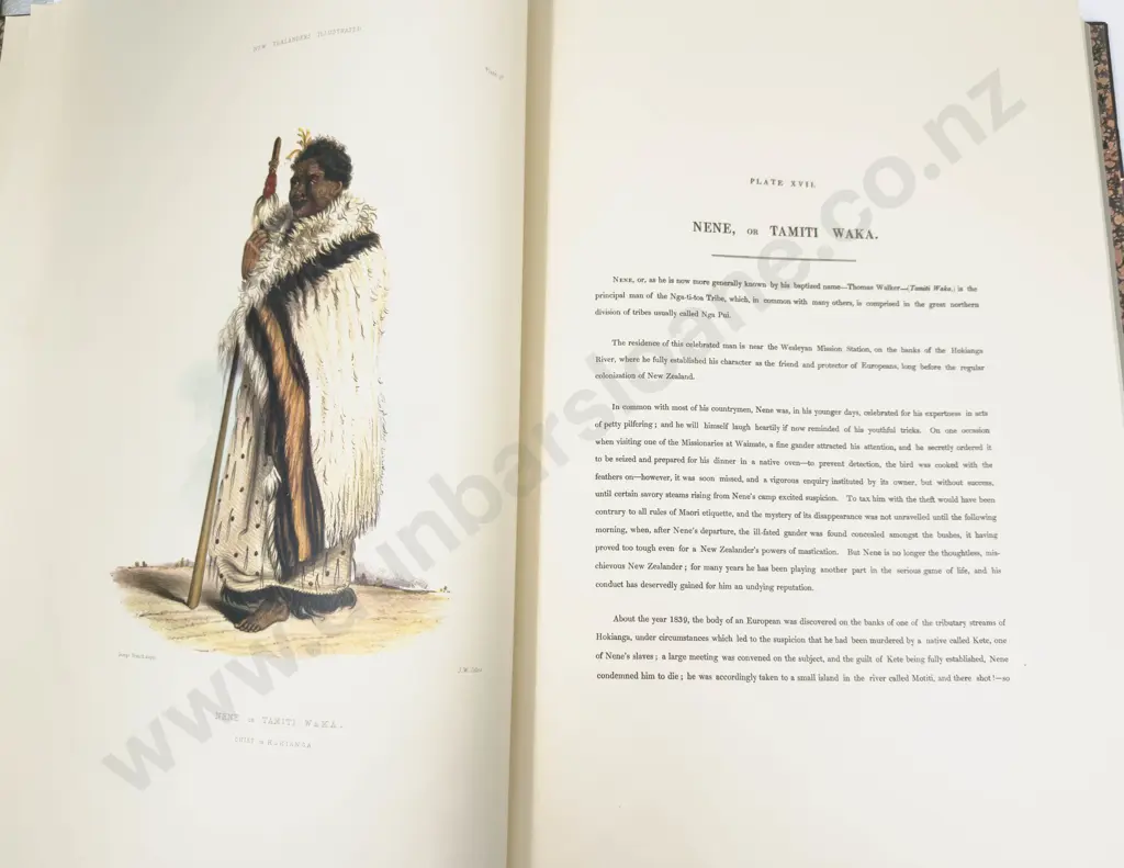 The New Zealanders Illustrated - George French Angus Image 1++
