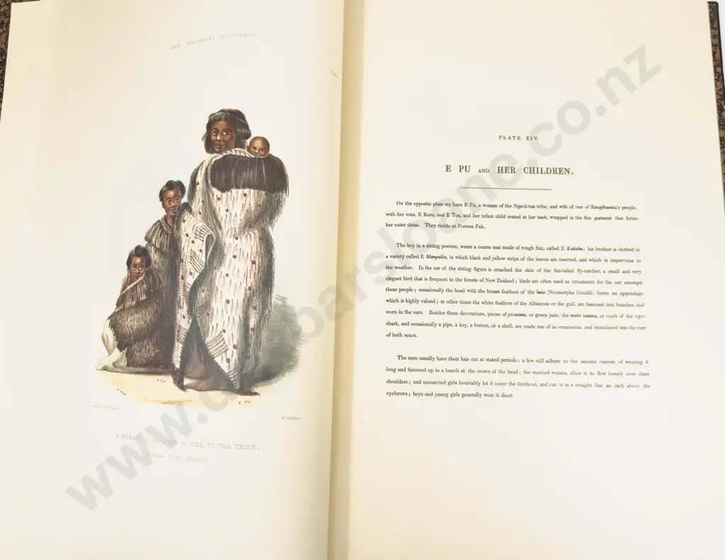 The New Zealanders Illustrated - George French Angus Image 1++