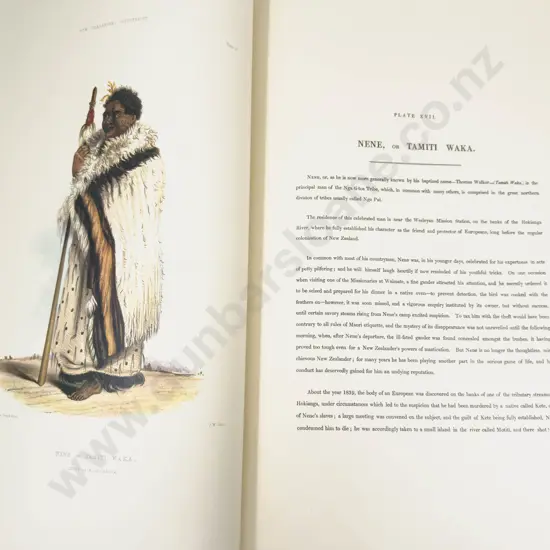 The New Zealanders Illustrated - George French Angus