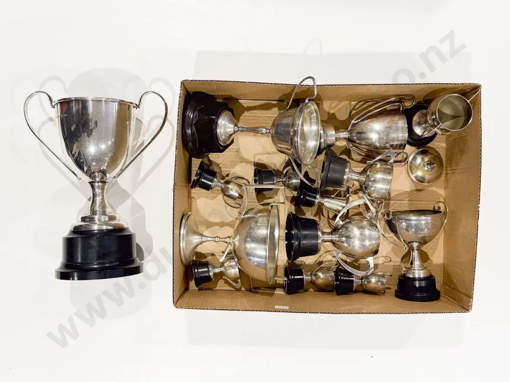 Qty of Assorted S/P Trophies Image 1++
