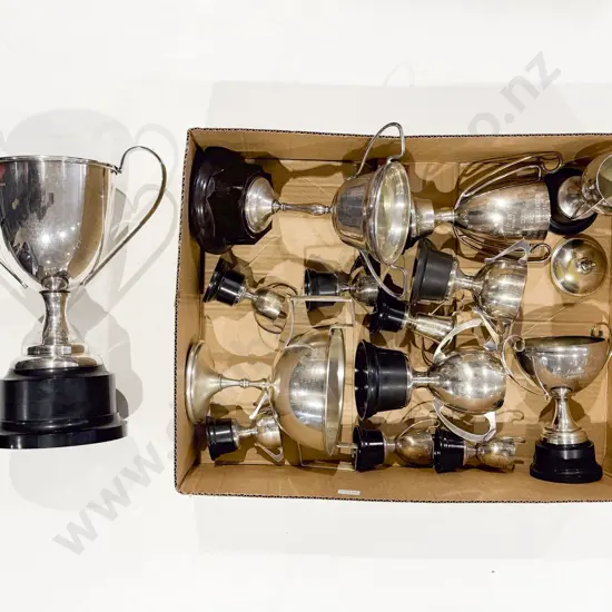 Qty of Assorted S/P Trophies