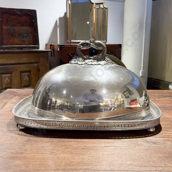 S/P Food Dome together with S/P Gallery Tray
