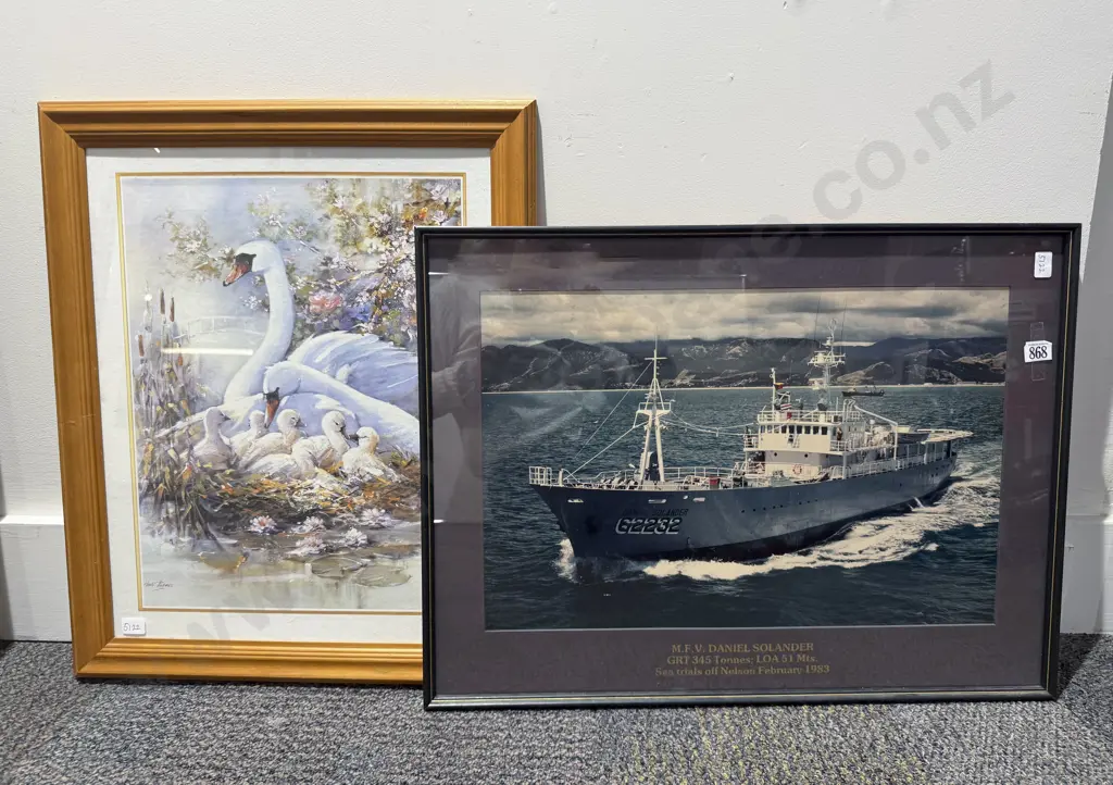 M.F.V. Daniel Solander Photographic Work Together with Framed Print Image 1++