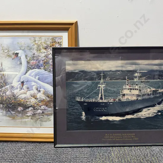 M.F.V. Daniel Solander Photographic Work Together with Framed Print