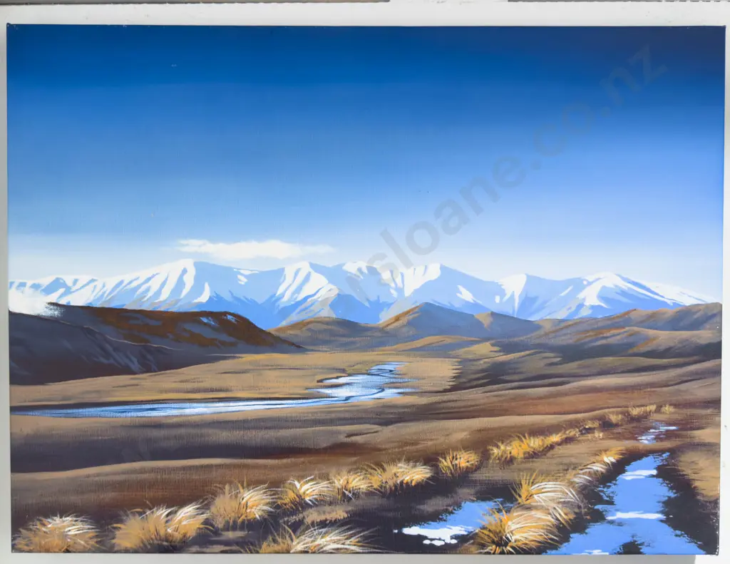 Screenprint on Canvas - New Zealand Landscape Image 1++