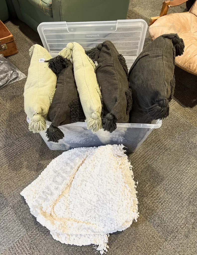 Qty of Assorted Cushions etc Image 1++