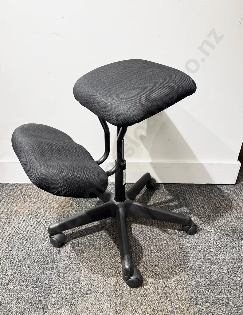 Ergonomic Office Chair Image 1++