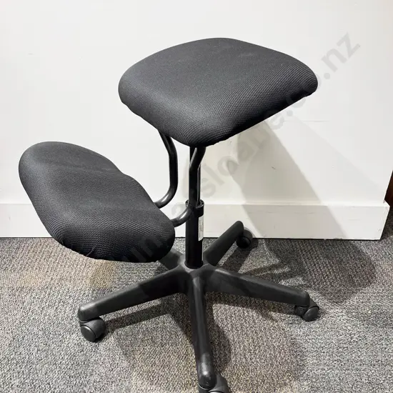 Ergonomic Office Chair