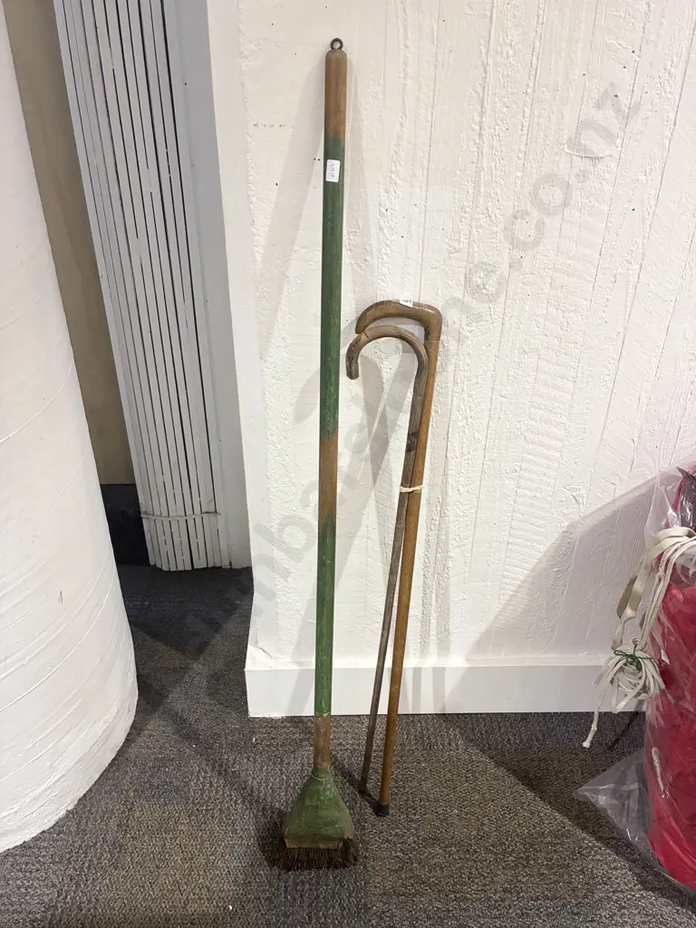 Pair of Walking Sticks Image 1++