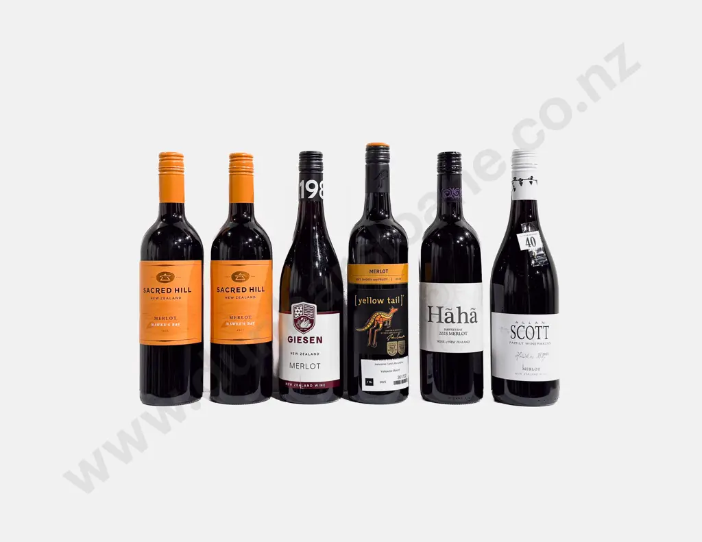 Five NZ Merlot & One Australian Merlot Image 1++