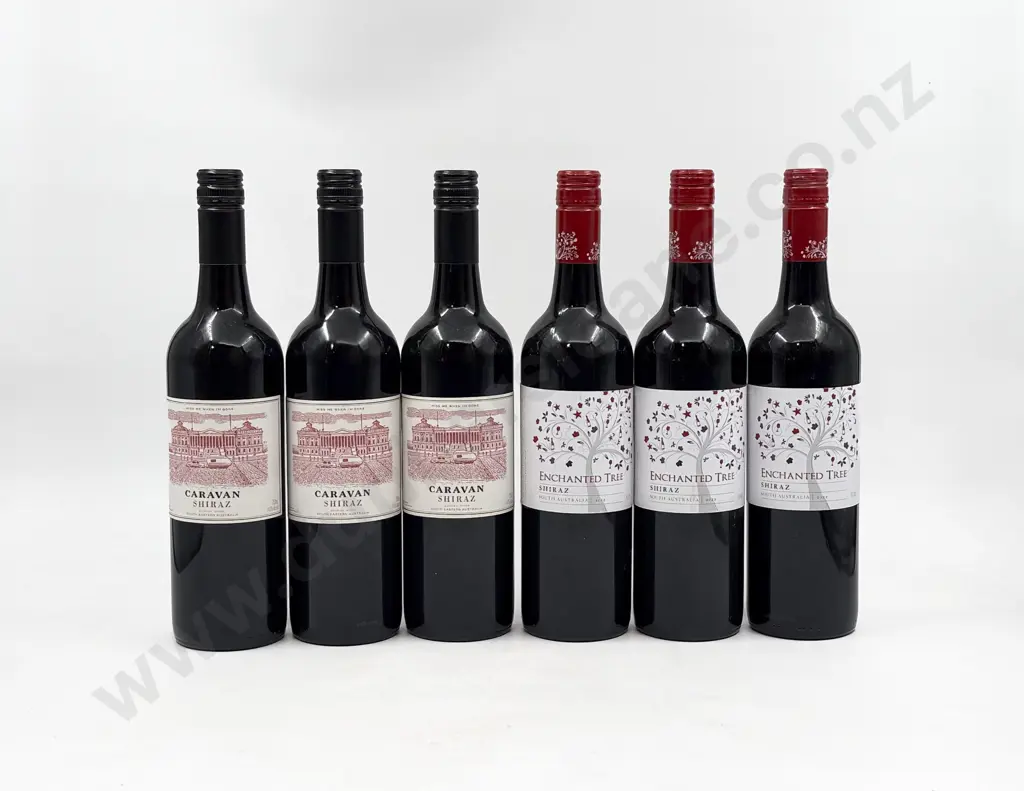 Six Assorted Australian Shiraz Image 1++