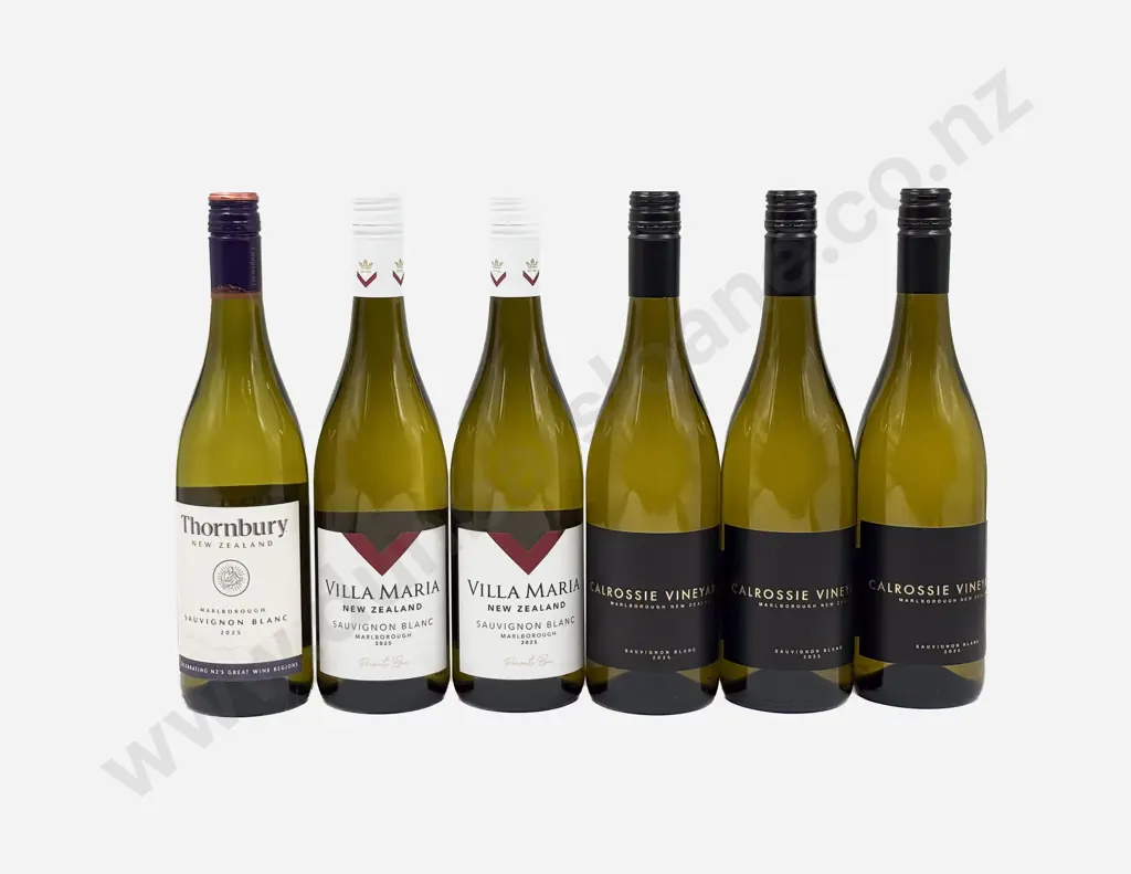 Six NZ Assorted Sauvignon Blanc Image 1++