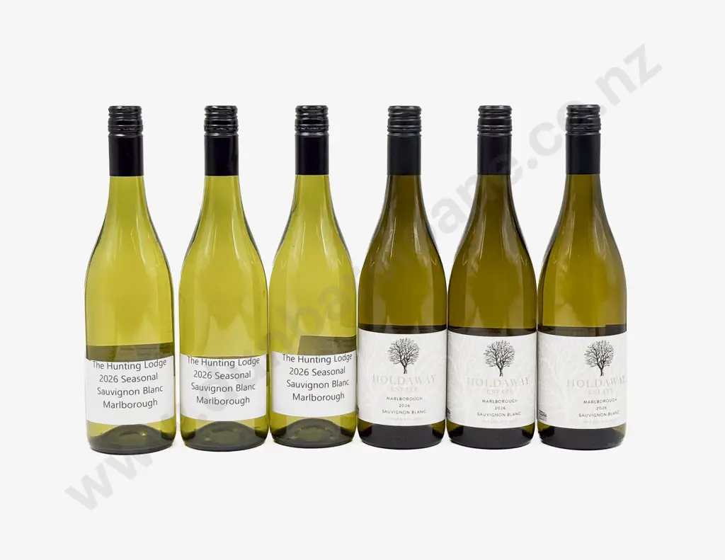 Six NZ Assorted Sauvignon Blanc Image 1++