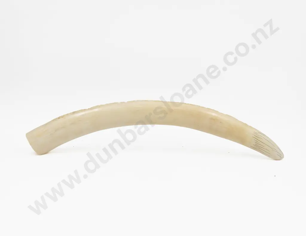 African Ivory Tusk Carved With Elephant Procession Image 1++