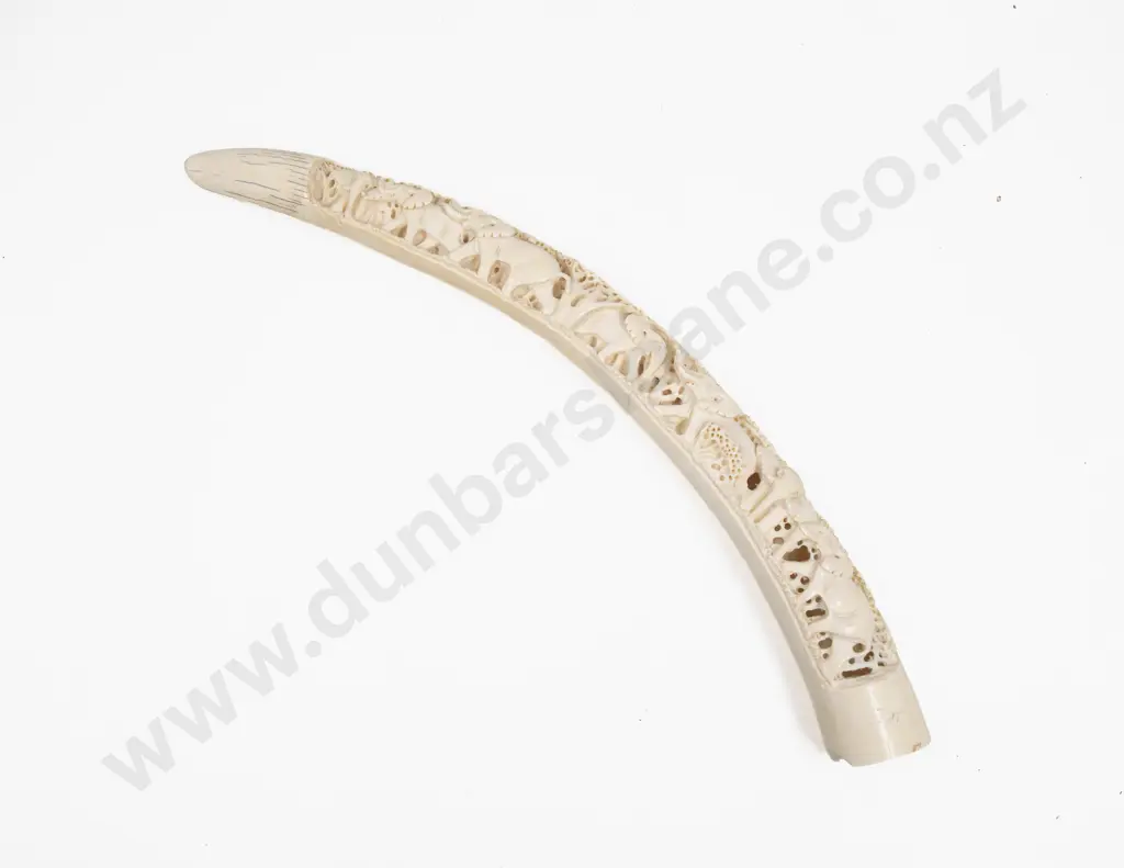 African Ivory Tusk Carved With Elephant Procession Image 1++