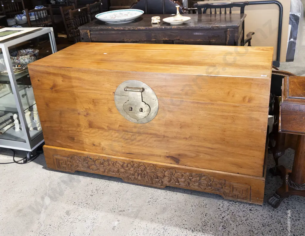 Large Chinese Camphorwood Trunk Image 1++