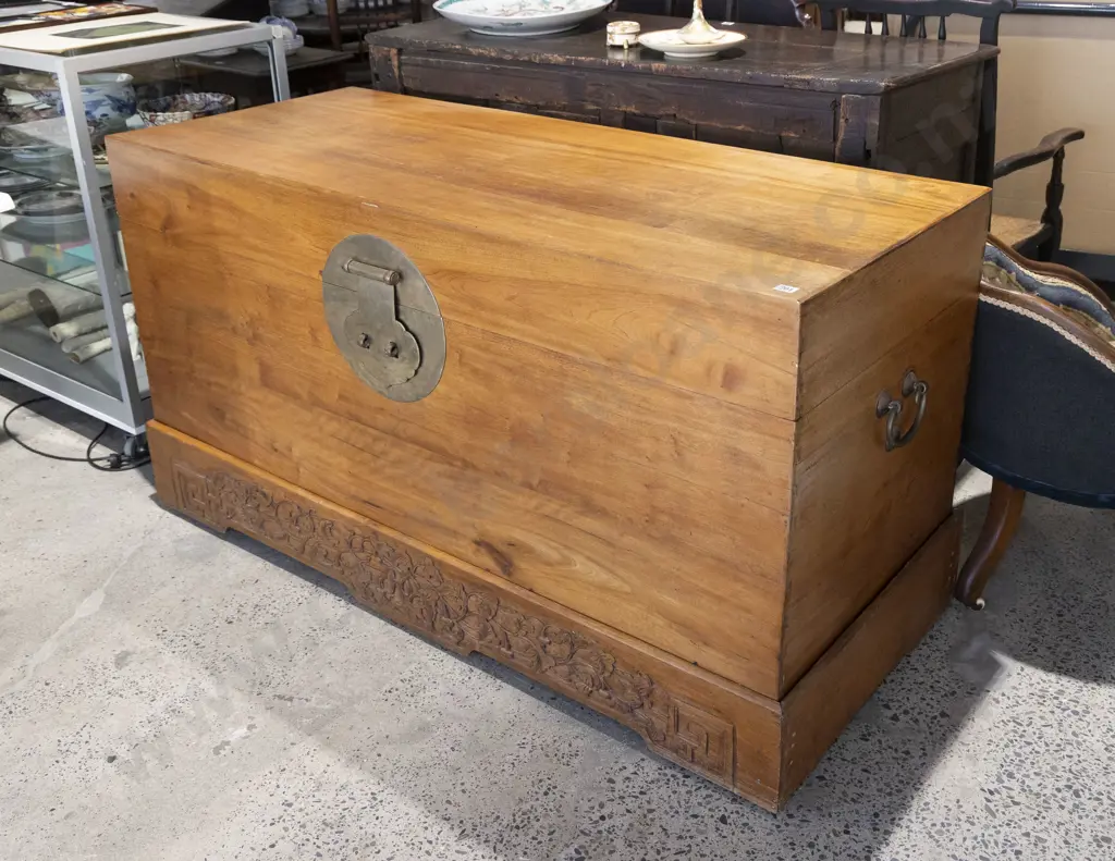 Large Chinese Camphorwood Trunk Image 1++