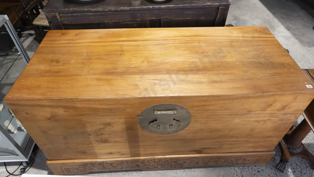 Large Chinese Camphorwood Trunk Image 1++