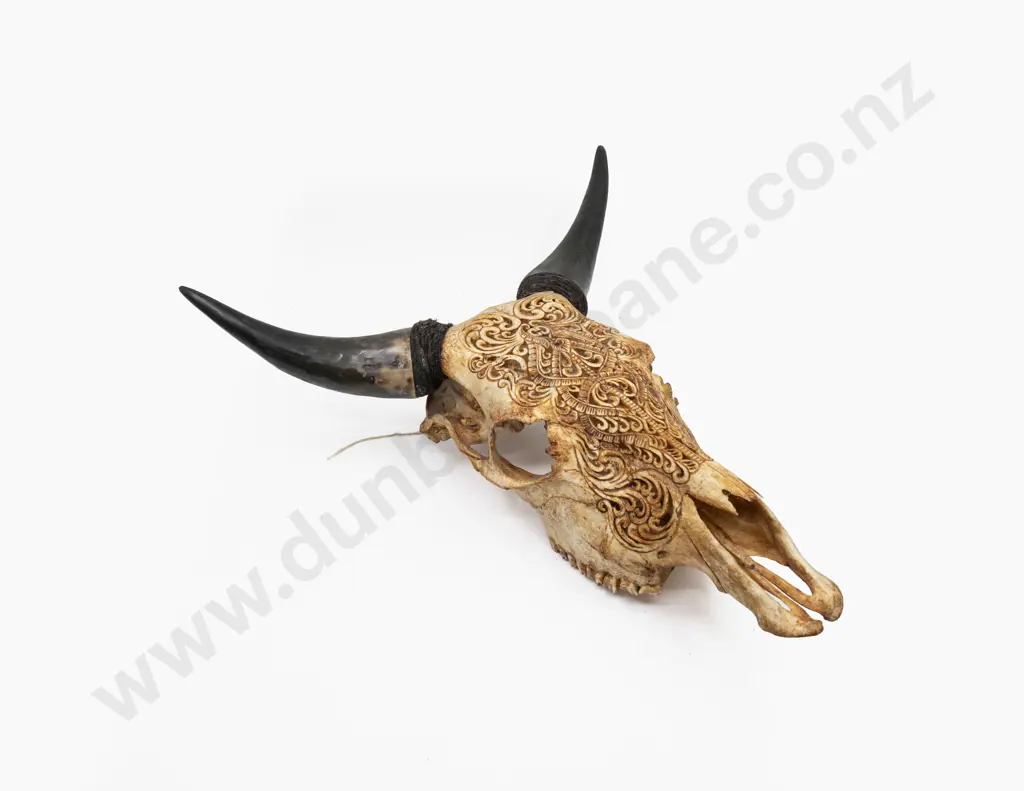 A Balinese Carved Bullock Skull Image 1++
