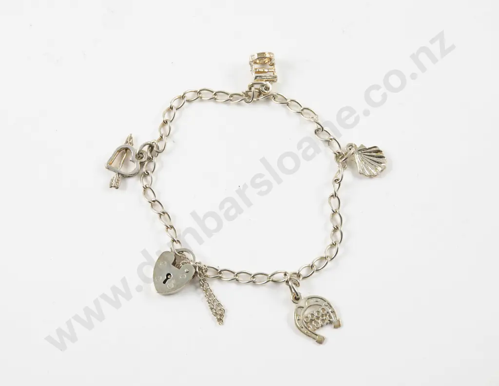9ct Lined Fancy Link Charm Bracelet Image 1++