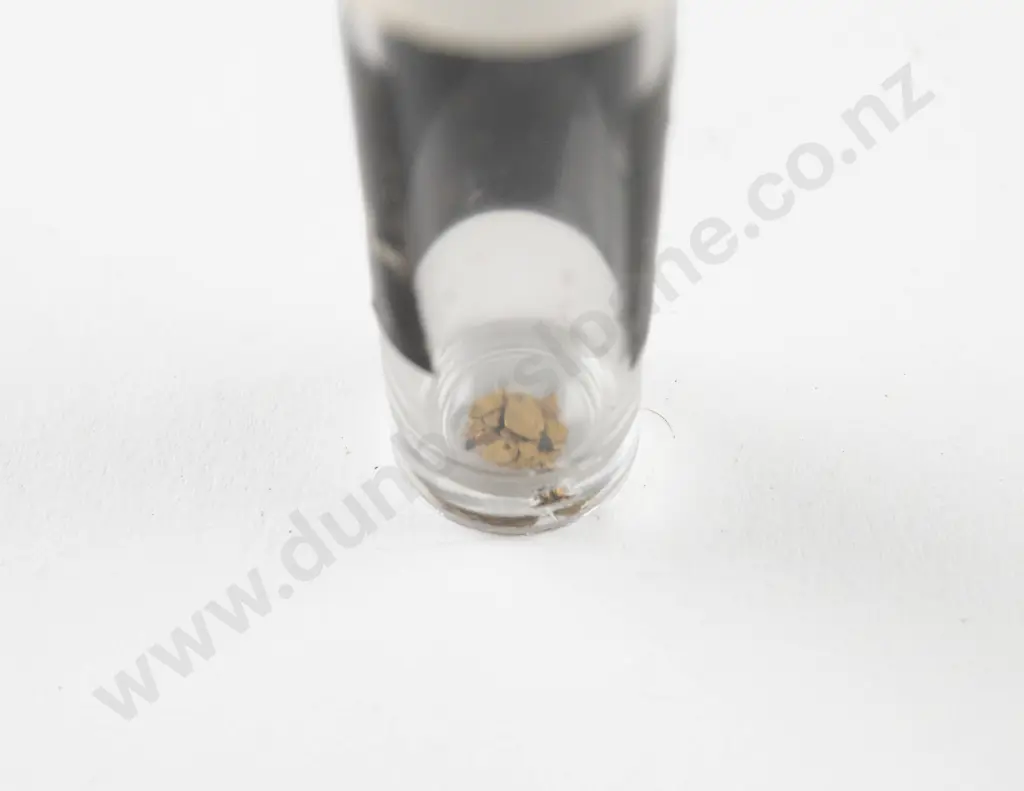 A Souvenir of Shantytown NZ Gold Nugget in Jar Image 1++