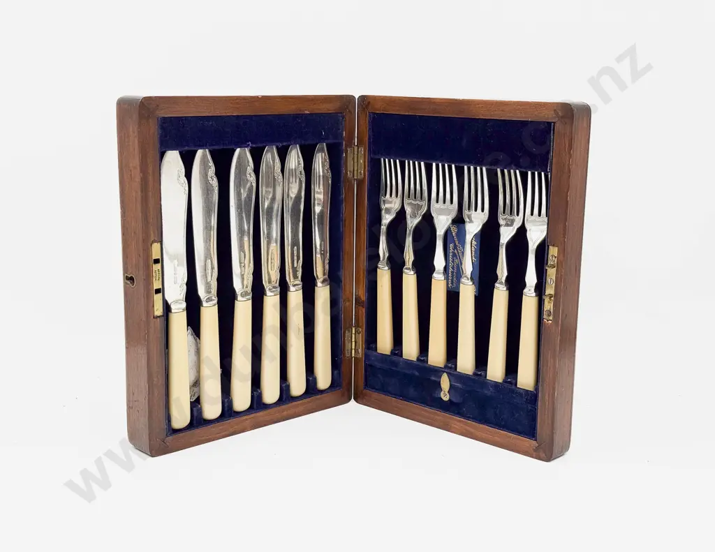 Cased Bone Handled Fish Knives & Forks Image 1++