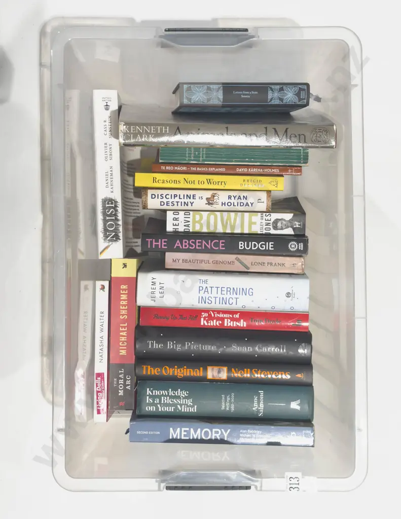 Box Quantity of Assorted boxes Image 1++