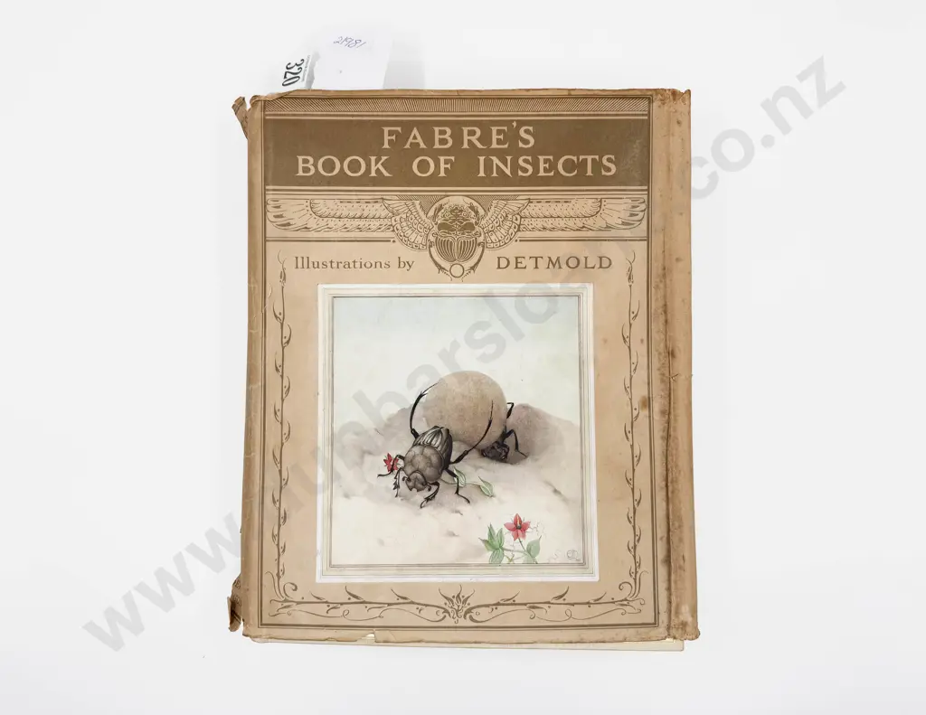 Fabre's Book of Insects Image 1++
