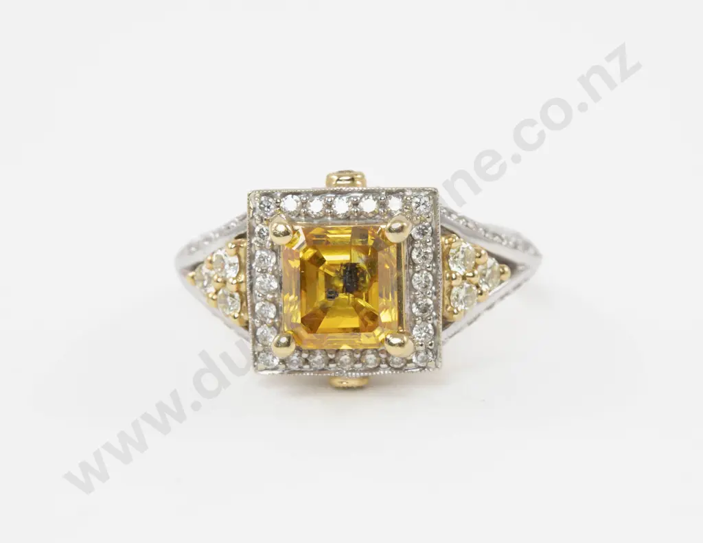 18ct Yellow and White Gold 83Stone Diamond Cluster Ring Image 1++