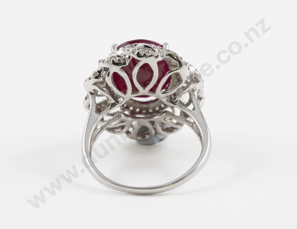 14ct White Gold 117Stone Diamond and Ruby Dress Ring Image 1++