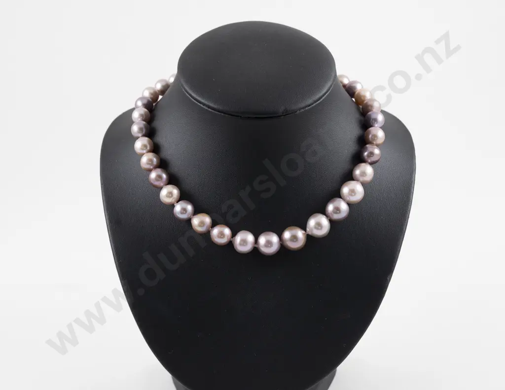 Single Strand Slightly Graduated Fresh Water Necklace Image 1++